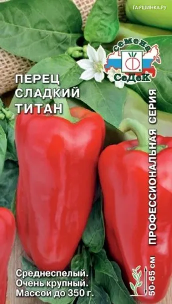Перец Титан