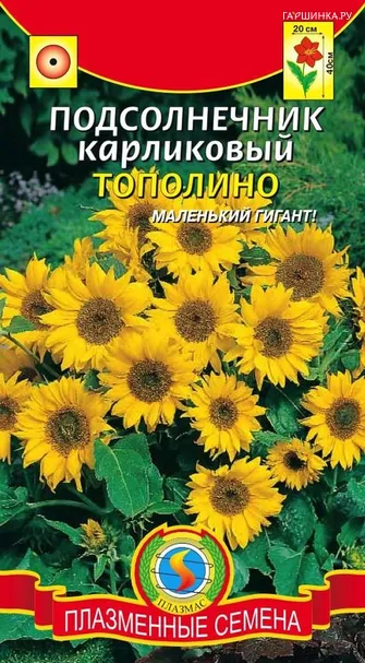 Подсолнечник Тополино карликовый