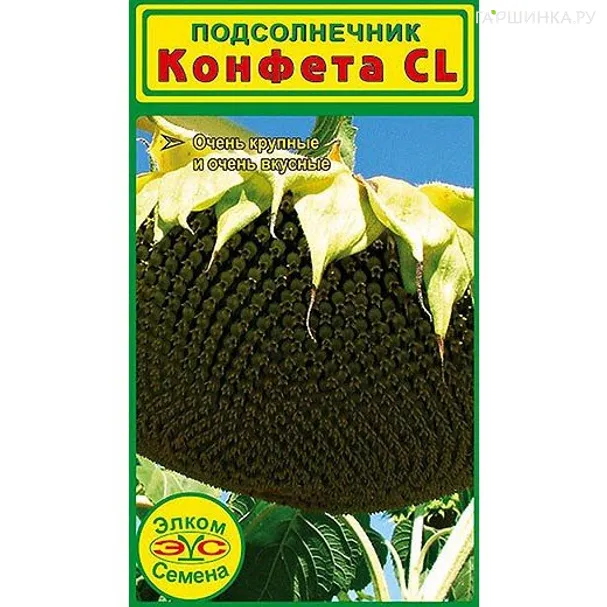 Подсолнечник Конфета CL (3 гр.)