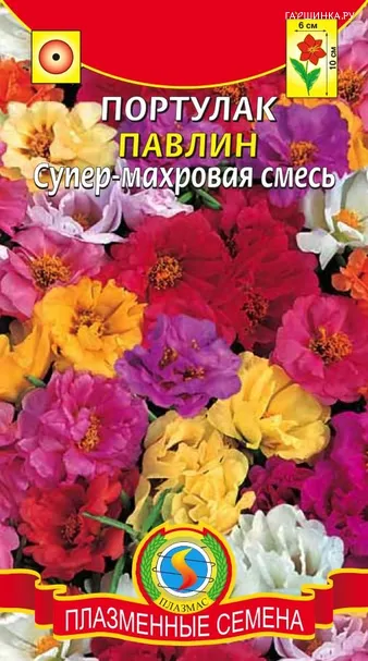 Портулак Павлин супер-махровая смесь