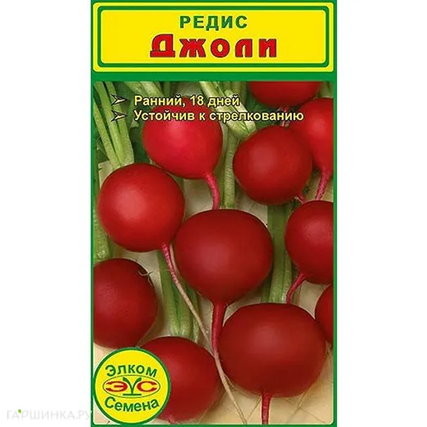 Редис Джоли (2 гр.)