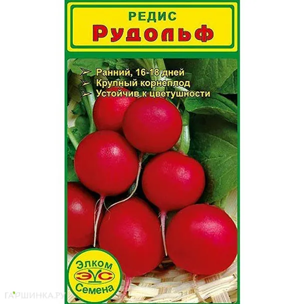 Редис Рудольф (1 гр.)