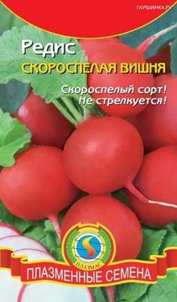 Редис Скороспелая вишня