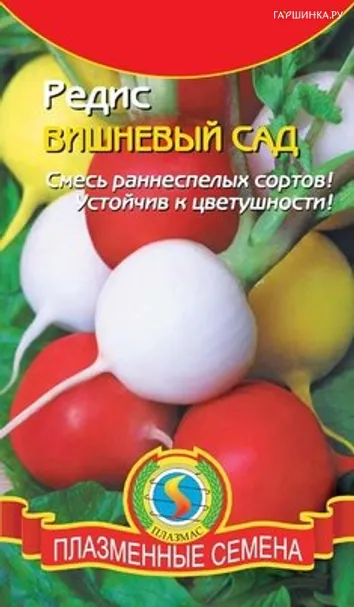 Редис Вишневый сад