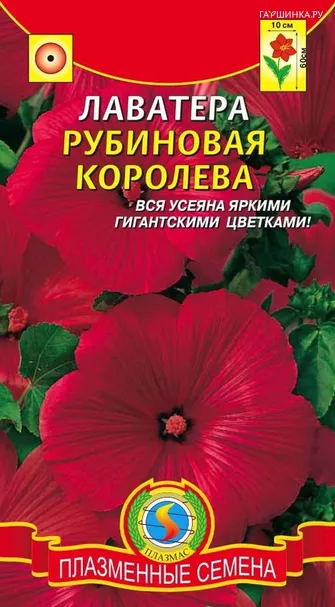 Лаватера Рубиновая королева