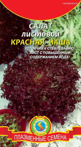 Салат листовой Красная чаша