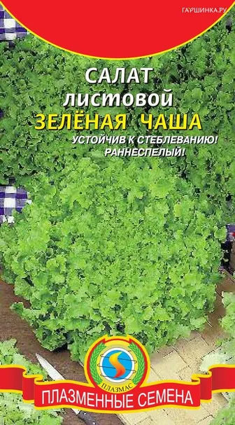 Салат листовой Зелёная чаша