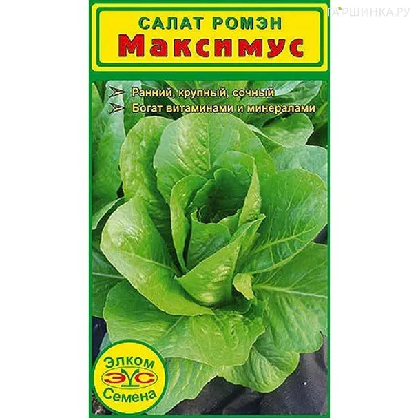 Салат Максимус (20 сем.)