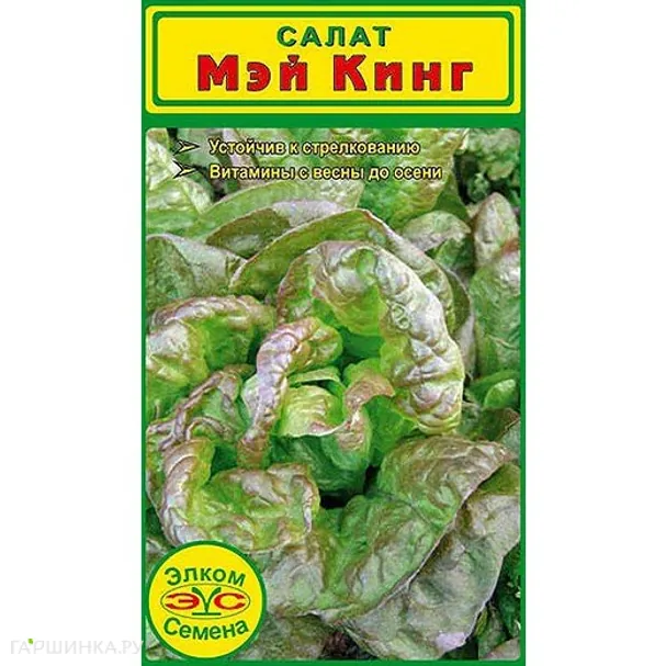 Салат Мэй Кинг кочанный,  0,1 гр