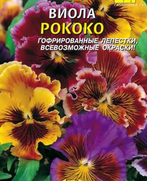 Виола Рококо 'Кольчуга' 0,2г