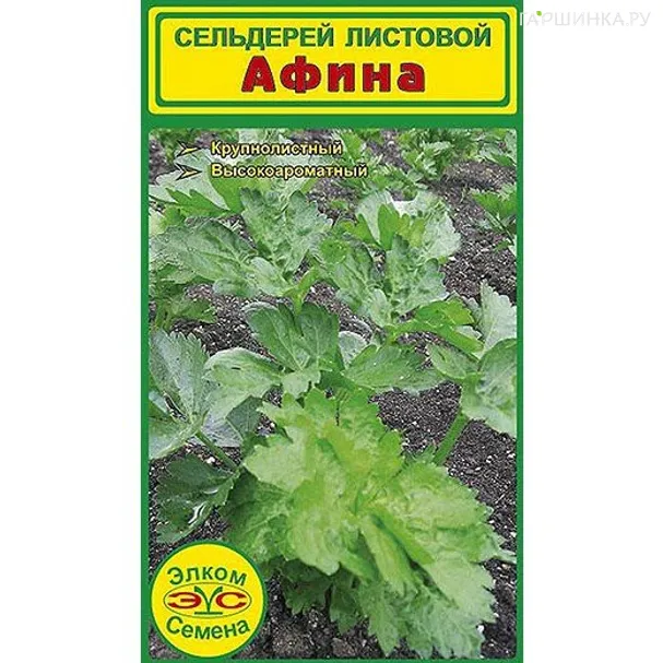 Сельдерей листовой Афина (1 гр.)