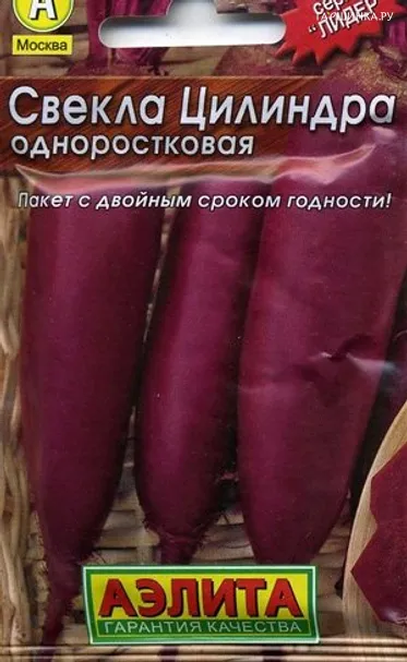 Свекла столовая Цилиндра, Лидер