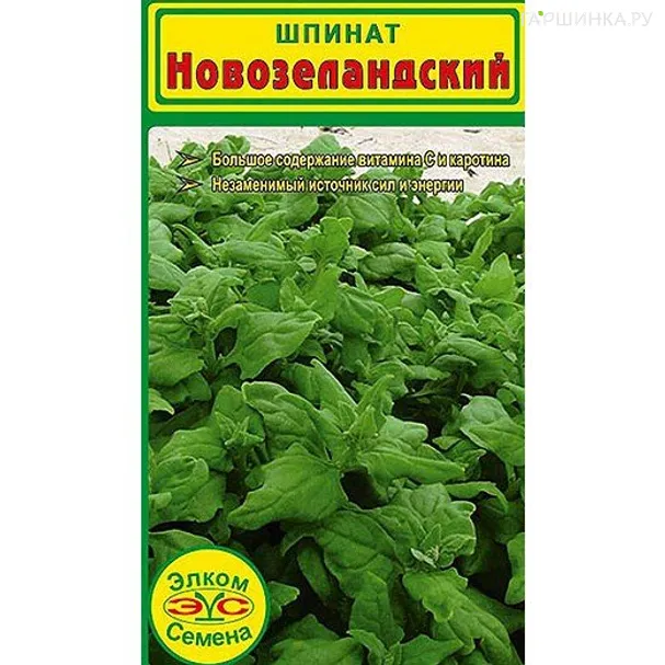 Шпинат Новозеландский (2 гр.)