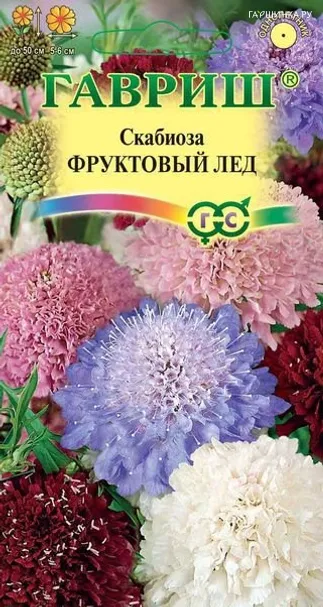 Скабиоза пурпурная Фруктовый лед, махровая смесь 0,3 г