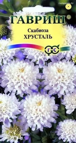 Скабиоза пурпурная Хрусталь, махр. 0,5 г