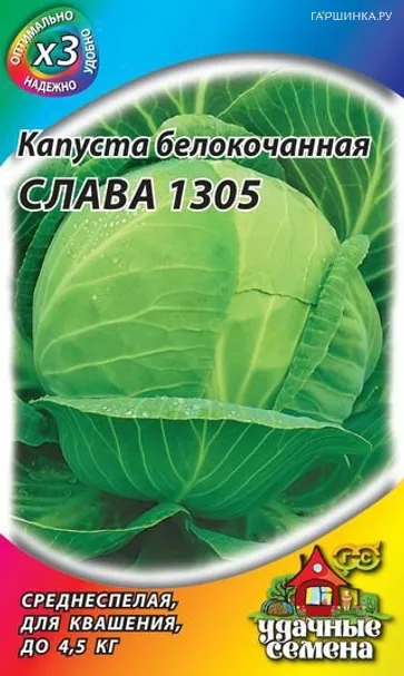 Капуста Слава 1305 белокочанная (для квашения) БП  0,5 г