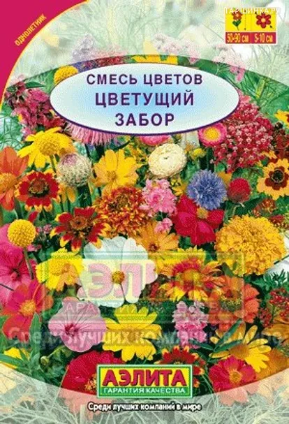 Смесь цветов Цветущий забор