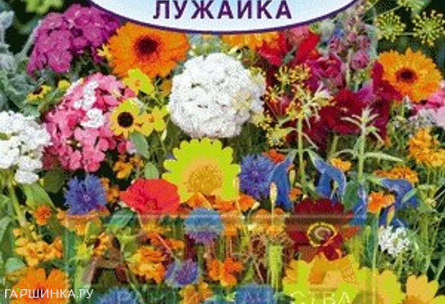 Смесь цветов Летняя лужайка