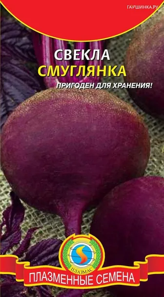 Свекла Смуглянка