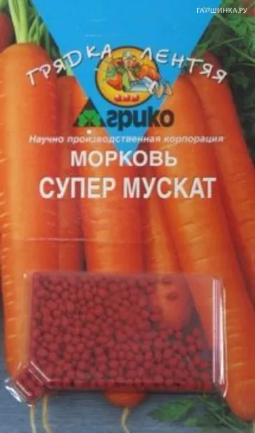 Морковь Супер Мускат драже 300 шт.