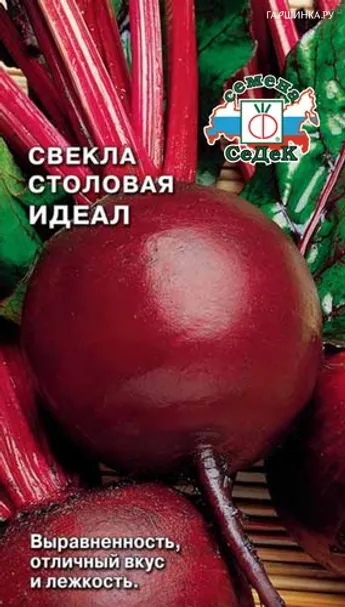 Свекла Идеал (Евро, 3, 7011*)