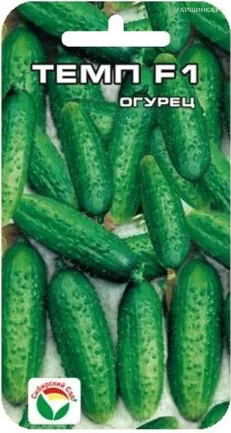 Огурец Темп F1 5 шт, Семена Сибирский сад