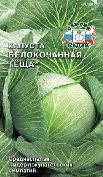 Капуста Теща белокочанная