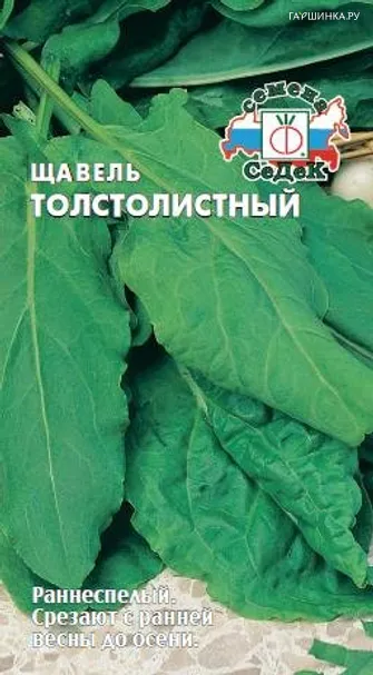 Щавель Толстолистный 0,5г