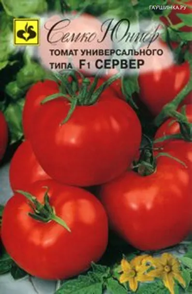 Томат Сервер F1