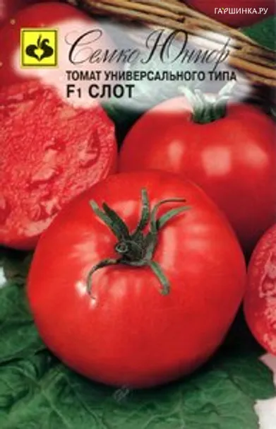 Томат Слот F1