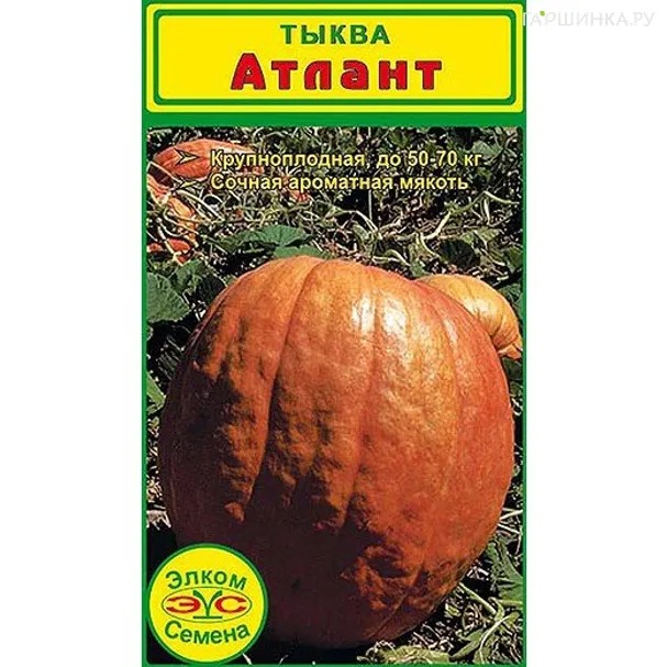 Тыква крупноплодная Атлант 5 шт, Семена Элком