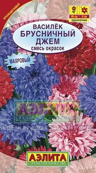 Василек Брусничный джем махровый