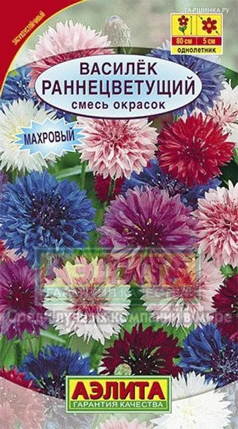 Василек махровый Раннецветущий, смесь окрасок