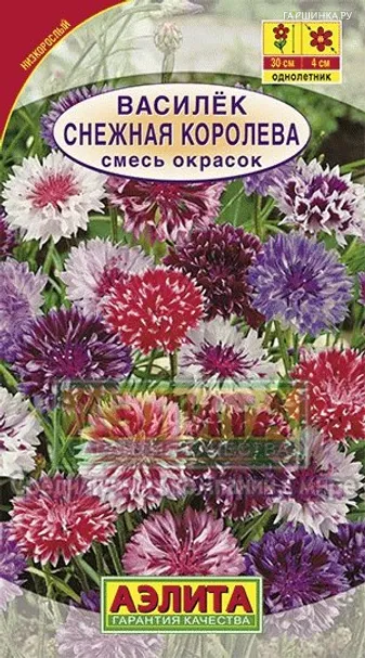 Василек Снежная королева, смесь окрасок ц/п