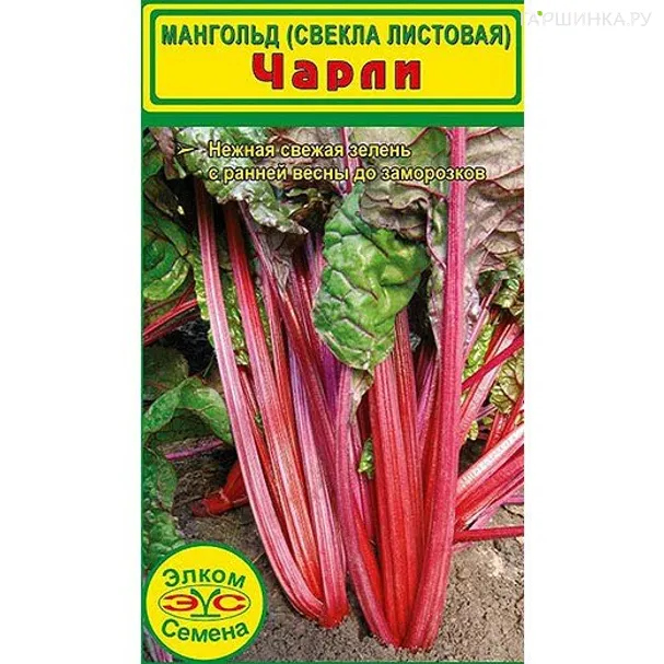 Свекла листовая Мангольд Чарли (1 гр.)