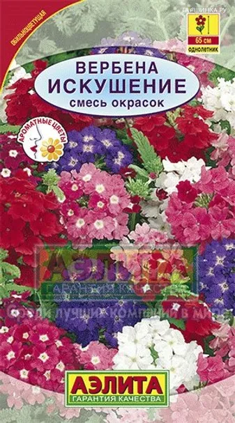 Вербена Искушение, смесь окрасок