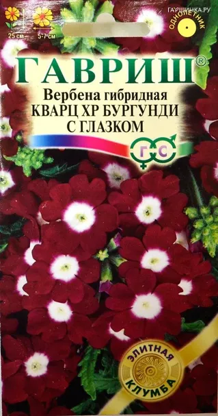 Вербена Кварц ХР Бургунди с глазком, гибридная 5 шт