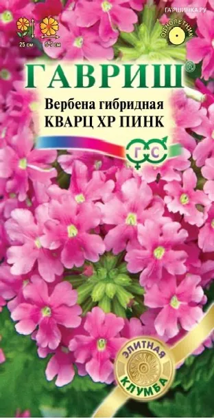 Вербена Кварц ХР Пинк, гибридная 5 шт