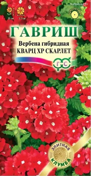 Вербена Кварц ХР Скарлет, гибридная 5 шт