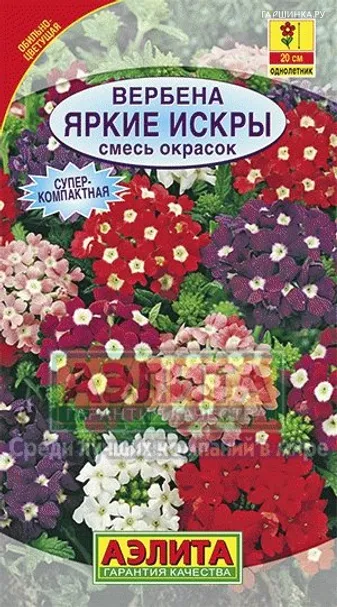 Вербена Яркие искры, смесь окрасок