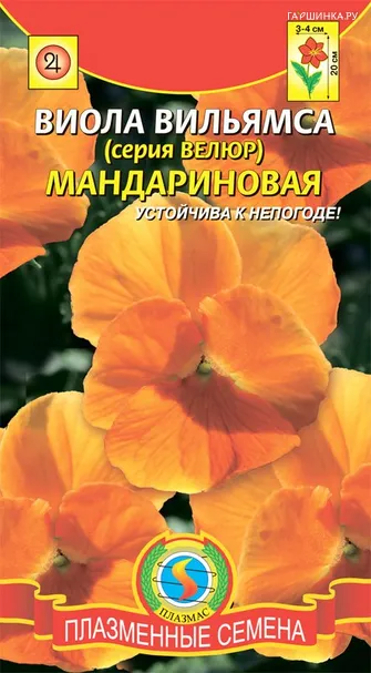 Виола вильямса (серия Велюр) Мандариновая