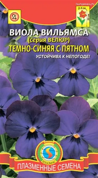 Виола вильямса (серия Велюр) Темно-синяя с пятном