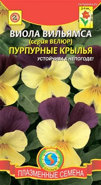 Виола вильямса (серия Велюр) Пурпурные крылья