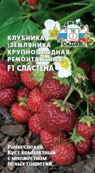 Клубника Сластена F1