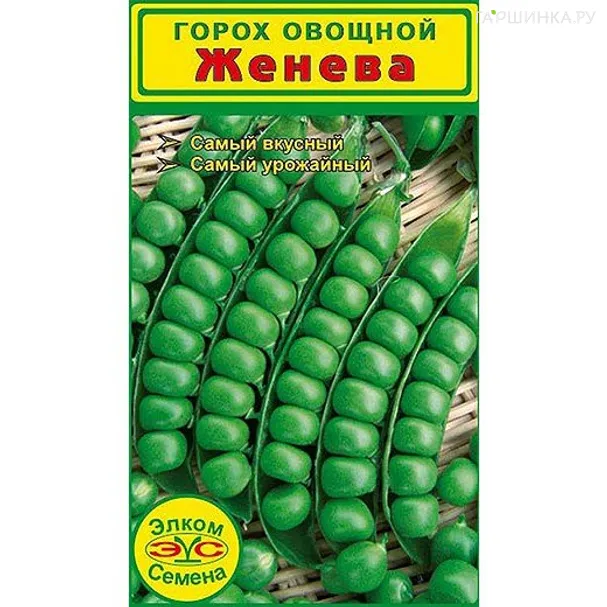 Горох овощной Женева (5 гр.)