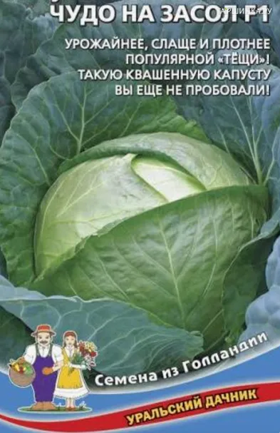 Капуста Чудо на засол белокочанная ЦП Уральский Дачник 0,3г, Семена Марс