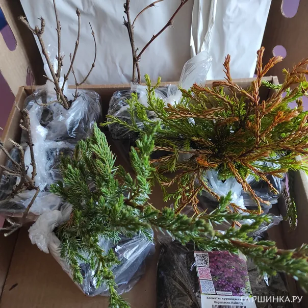 превью изображения отзыва