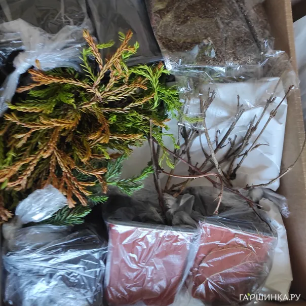 превью изображения отзыва