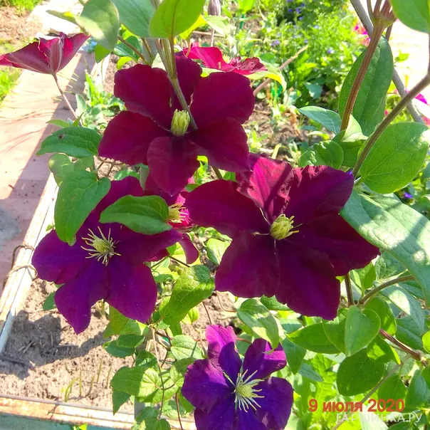 превью изображения отзыва