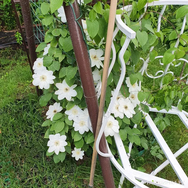 превью изображения отзыва